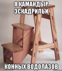 я камандыр эскадрильи конных водолазов