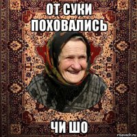 от суки поховались чи шо