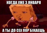 когда уже 3 января а ты до сех пор бухаешь