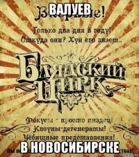 валуев в новосибирске