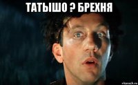 татышо ? брехня 