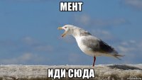 мент иди сюда