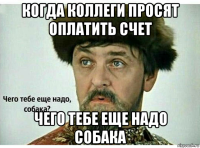 когда коллеги просят оплатить счет чего тебе еще надо собака