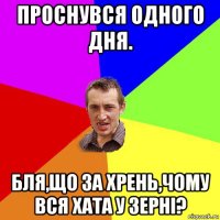 проснувся одного дня. бля,що за хрень,чому вся хата у зерні?