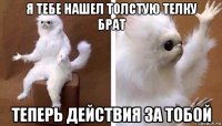 я тебе нашел толстую телку брат теперь действия за тобой