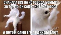 сначала все на котовода бомбят за то,что он садит кота на босса а потом сами его подкидывают