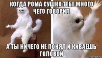 когда рома сушко тебе много чего говорил а ты ничего не понял и киваешь головой