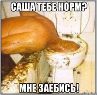 саша тебе норм? мне заебись!