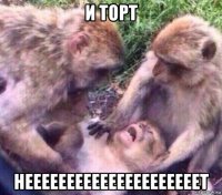 и торт нееееееееееееееееееееет