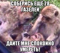 соберись ещё 28 газелей дайте мне спокойно умереть!