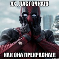 ах , ласточка!!! как она прекрасна!!!