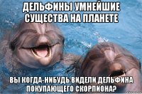 дельфины умнейшие существа на планете вы когда-нибудь видели дельфина покупающего скорпиона?