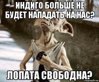 индиго больше не будет нападать на нас? лопата свободна?