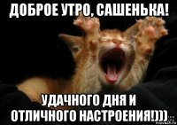 доброе утро, сашенька! удачного дня и отличного настроения!)))