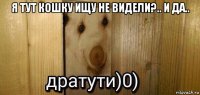 я тут кошку ищу не видели?.. и да.. 