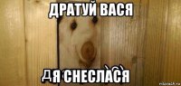 дратуй вася я снеслася