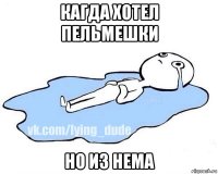 кагда хотел пельмешки но из нема