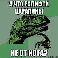 а что если эти царапины не от кота?