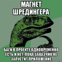 магнет шредингера баги в проекте одновременно есть и нет. пока заказчик не запустит приложение