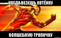 когда везешь котёнку волшебную тряпочку