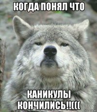 когда понял что каникулы кончились!!(((