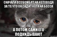 сначала все бомбят на котовода за то,что он садит кота на босса а потом сами его подкидывают