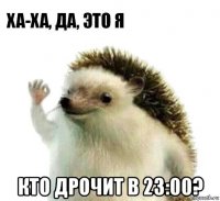  кто дрочит в 23:00?