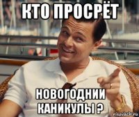 кто просрёт новогоднии каникулы ?