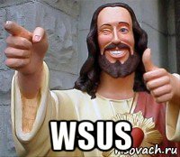  wsus