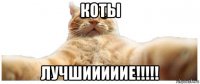 коты лучшииииие!!!!!