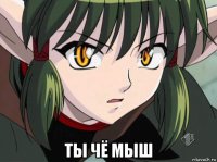  ты чё мыш