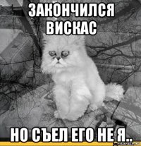 закончился вискас но съел его не я..