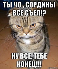 ты чо , сордины все съел!? ну все, тебе конец!!!