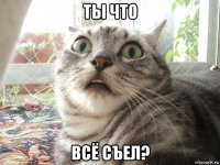 ты что всё съел?