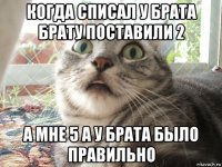 когда списал у брата брату поставили 2 а мне 5 а у брата было правильно