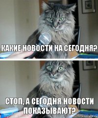 какие новости на сегодня? стоп, а сегодня новости показывают?