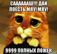 сааааааш!!! дай поесть мяу! мяу! 9999 полных ложек