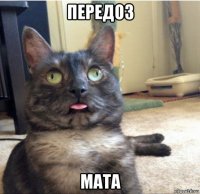 передоз мата