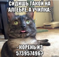 сидишь такой на алгебре, а училка: - корень из 573957496?