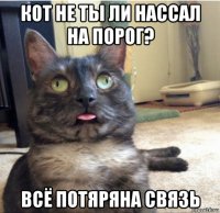 кот не ты ли нассал на порог? всё потяряна связь