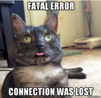 fatal error connection was lost