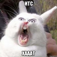 итс хааат