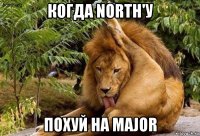 когда north'у похуй на major