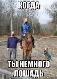 когда ты немного лошадь