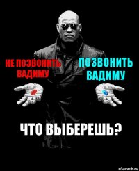 Не Позвонить вадиму позвонить вадиму Что выберешь?