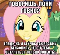 говоришь, пони говно? глядь-ка, я сейчас так возьму бензопилу, что от тебя останеться только совесть!
