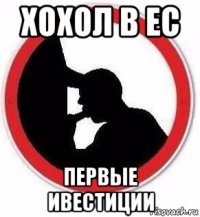 хохол в ес первые ивестиции