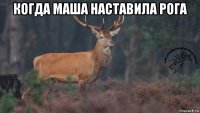 когда маша наставила рога 