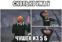 сколько ума у чушек из 5 б