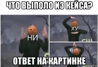 что выполо из кейса? ответ на картинке